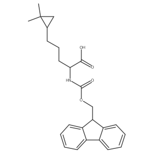 5-(2,2-dimethylcyclopropyl)-2-({[(9H-fluoren-9-yl)methoxy]carbonyl}amino)pentanoic acid结构式