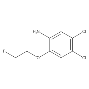 1702010-58-9 structure