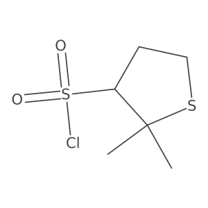 2,2-Dimethylthiolane-3-sulfonyl chloride Structure