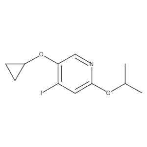 1243464-13-2 structure