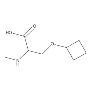 3-Cyclobutoxy-2-(methylamino)propanoic acid Structure