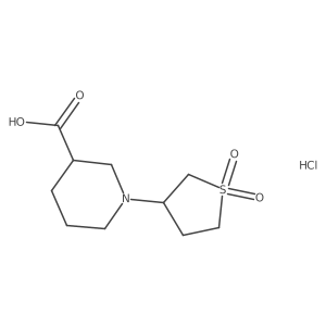 1-(1,1-Dioxidotetrahydrothiophen-3-yl)piperidine-3-carboxylic acid hydrochloride Structure