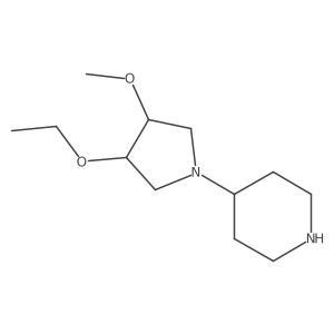 4-(3-Ethoxy-4-methoxypyrrolidin-1-yl)piperidine结构式