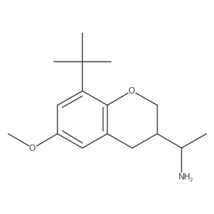 1-(8-tert-butyl-6-methoxy-3,4-dihydro-2H-1-benzopyran-3-yl)ethan-1-amine Structure