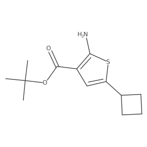 Tert-butyl 2-amino-5-cyclobutylthiophene-3-carboxylate结构式