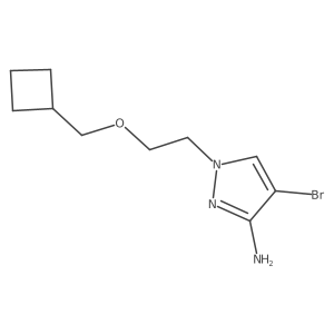 2138273-50-2 structure