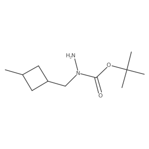 N-[(3-methylcyclobutyl)methyl](tert-butoxy)carbohydrazide Structure