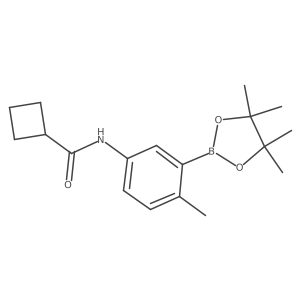 N-(4-methyl-3-(4,4,5,5-tetramethyl-1,3,2-dioxaborolan-2-yl)phenyl)cyclobutanecarboxamide结构式