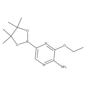 1309978-31-1 structure