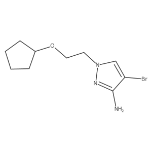2137979-63-4 structure