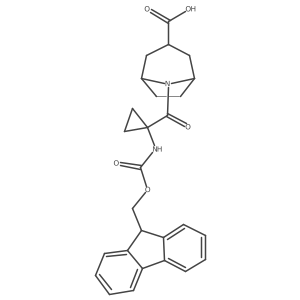 2172484-42-1 structure