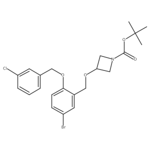 1227622-91-4 structure