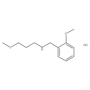(2-Methoxybenzyl)(3-methoxypropyl)amine hydrochloride Structure