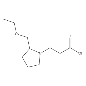 3-(2-(Ethoxymethyl)pyrrolidin-1-yl)propanoic acid结构式