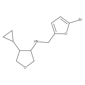 N-[(5-bromofuran-2-yl)methyl]-4-cyclopropyloxolan-3-amine结构式