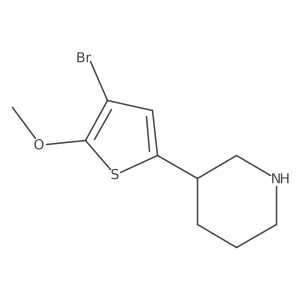 3-(4-Bromo-5-methoxythiophen-2-yl)piperidine结构式