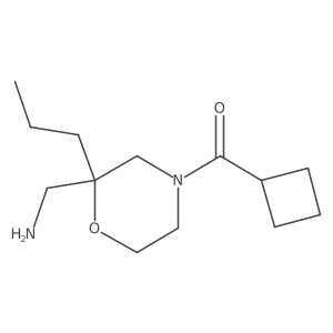 2137613-70-6 structure