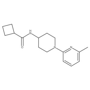 N-[1-(6-methylpyridin-2-yl)piperidin-4-yl]cyclobutanecarboxamide Structure
