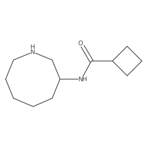 N-(Azocan-3-yl)cyclobutanecarboxamide Structure