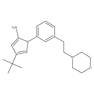 3-Tert-butyl-1-[3-(2-morpholinoethyl)phenyl]-1h-pyrazol-5-amine Structure