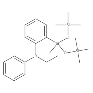 Ethyl(2-(1,1,1,3,5,5,5-heptamethyltrisiloxan-3-yl)phenyl)(phenyl)phosphane结构式