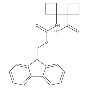 2567502-28-5 structure