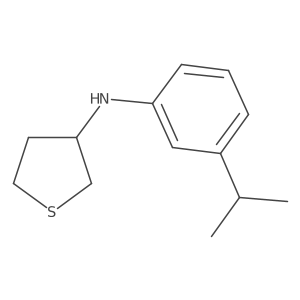 N-[3-(Propan-2-yl)phenyl]thiolan-3-amine Structure