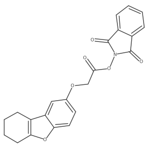 2248354-61-0 structure