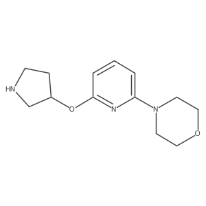 4-[6-(Pyrrolidin-3-yloxy)pyridin-2-yl]morpholine Structure