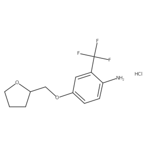 1185300-61-1结构式
