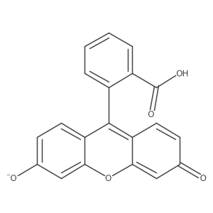 2-(3-Oxo-6-hydroxy-3H-xanthene-9-yl)benzoate结构式