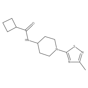 N-[1-(3-methyl-1,2,4-thiadiazol-5-yl)piperidin-4-yl]cyclobutanecarboxamide Structure