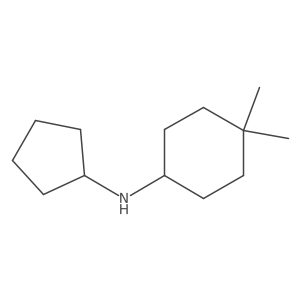 N-cyclopentyl-4,4-dimethylcyclohexan-1-amine结构式