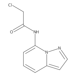 2-Chloro-N-pyrazolo[1,5-a]pyridin-7-ylacetamide Structure
