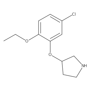 3-(5-Chloro-2-ethoxyphenoxy)pyrrolidine结构式