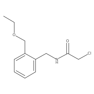 2-chloro-N-{[2-(ethoxymethyl)phenyl]methyl}acetamide Structure