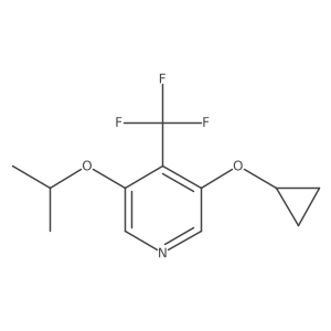 1243404-18-3 structure