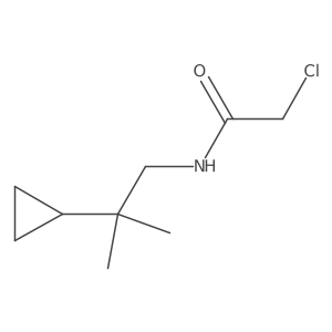 2-chloro-N-(2-cyclopropyl-2-methylpropyl)acetamide Structure