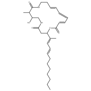 552819-65-5 structure