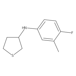N-(4-fluoro-3-methylphenyl)thiolan-3-amine结构式