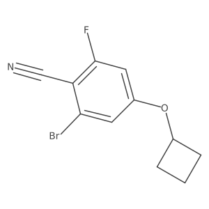 1956364-60-5 structure