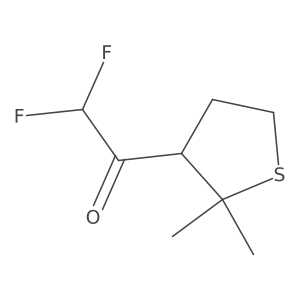 1-(2,2-Dimethylthiolan-3-yl)-2,2-difluoroethan-1-one结构式