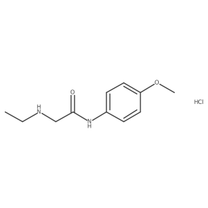 2-(ethylamino)-N-(4-methoxyphenyl)acetamide hydrochloride Structure
