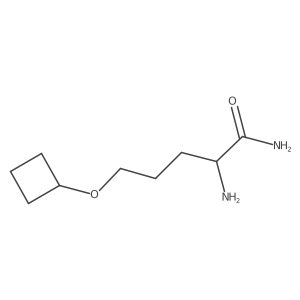 2-Amino-5-cyclobutoxypentanamide Structure