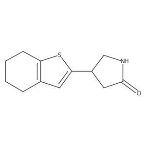 4-(4,5,6,7-Tetrahydro-1-benzothiophen-2-yl)pyrrolidin-2-one结构式