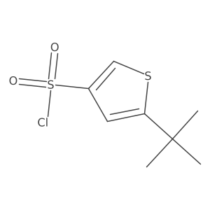 5-Tert-butylthiophene-3-sulfonyl chloride结构式