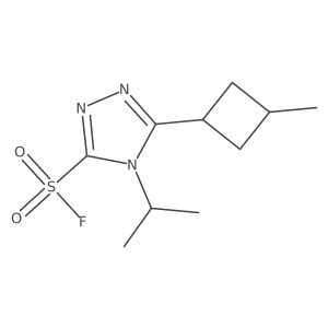 5-(3-methylcyclobutyl)-4-(propan-2-yl)-4H-1,2,4-triazole-3-sulfonyl fluoride结构式