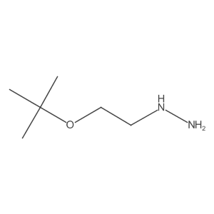 (2-Tert-butoxyethyl)-hydrazine Structure