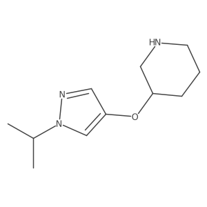 3-{[1-(propan-2-yl)-1H-pyrazol-4-yl]oxy}piperidine结构式