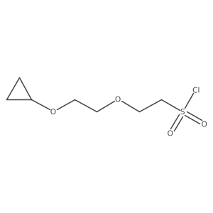 2-(2-Cyclopropoxyethoxy)ethane-1-sulfonyl chloride结构式